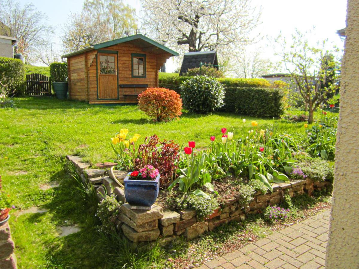 Ferienhaus Am Hainberg Colditz Kültér fotó